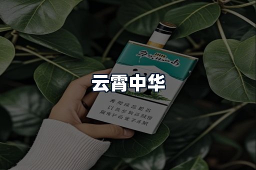 云霄中华